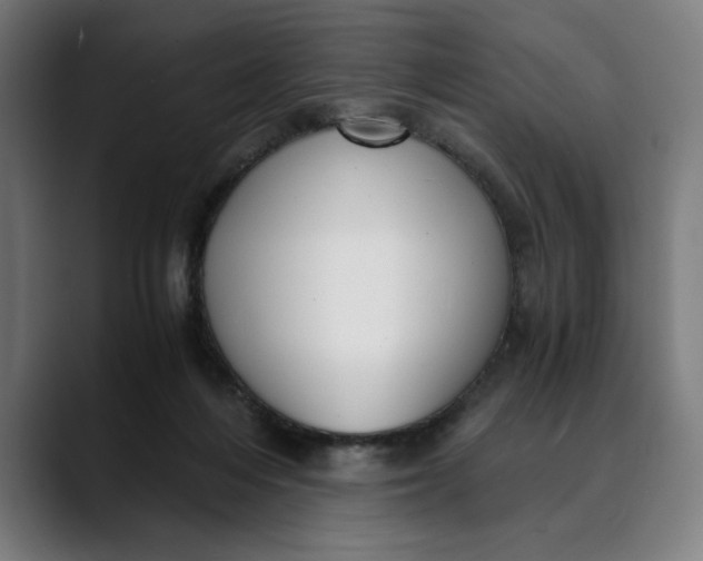 X0000089690216200707121342