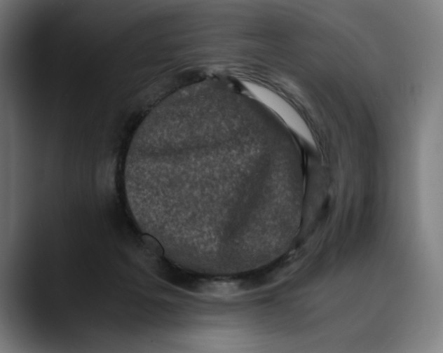 X0000089690217200707121342