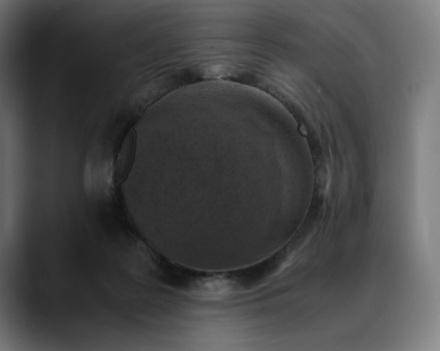 X0000089690219200707121342