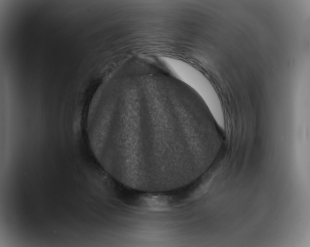 X0000089690221200707121342