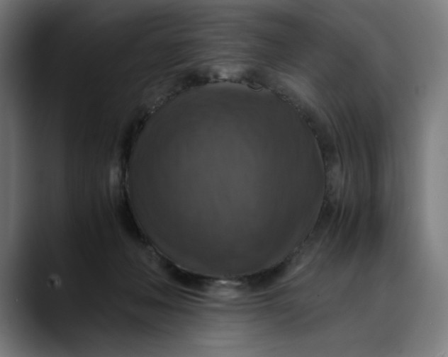 X0000089690222200707121342