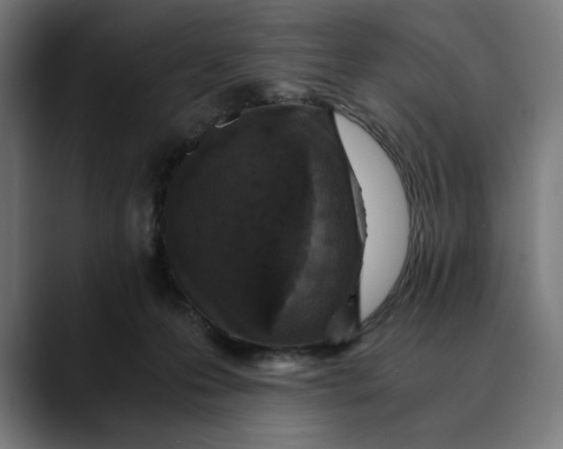 X0000089690223200707121342