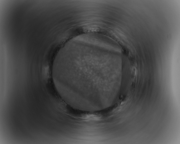 X0000089690224200707121342