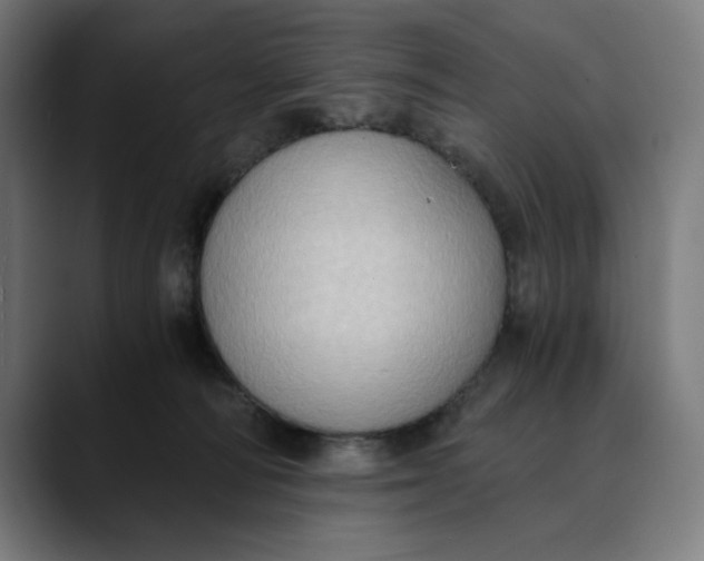 X0000089690226200707121342