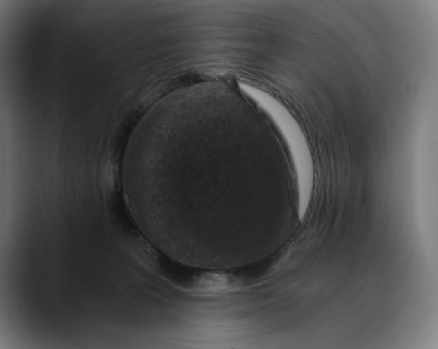 X0000089690227200707121342