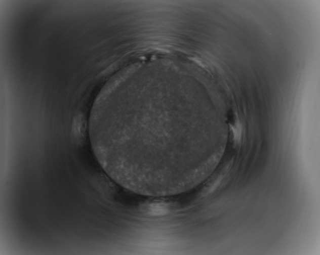 X0000089690228200707121342