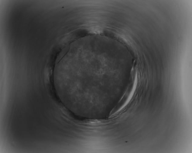 X0000089690229200707121342