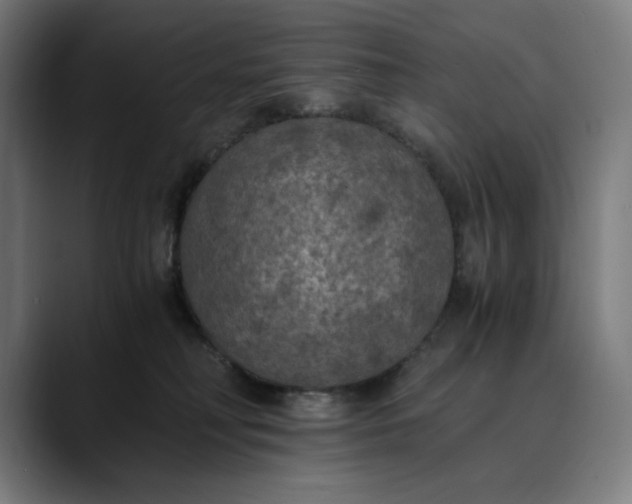 X0000089690230200707121342