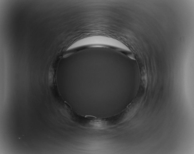 X0000089690231200707121342