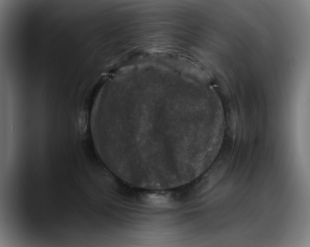 X0000089690232200707121342