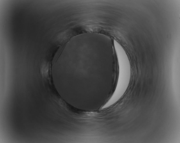 X0000089690233200707121342