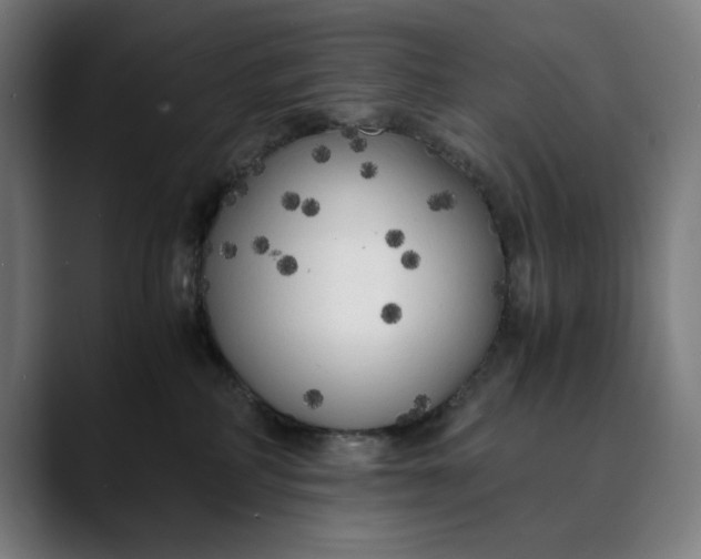 X0000089690234200707121342