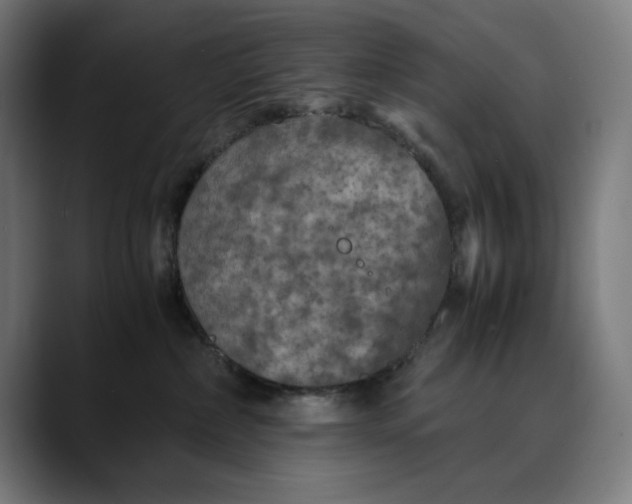 X0000089690236200707121342