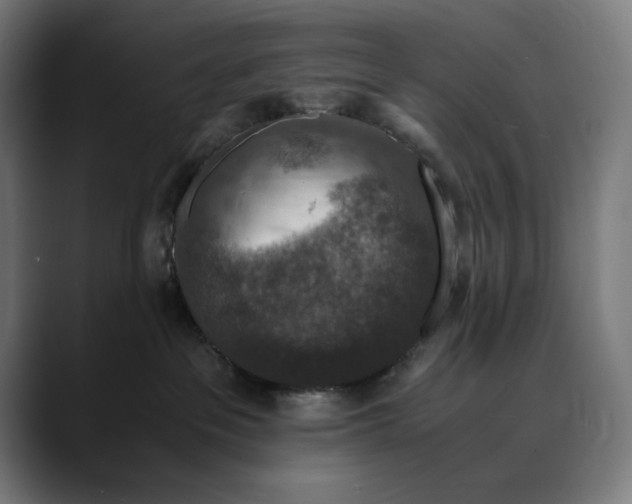 X0000089690237200707121342