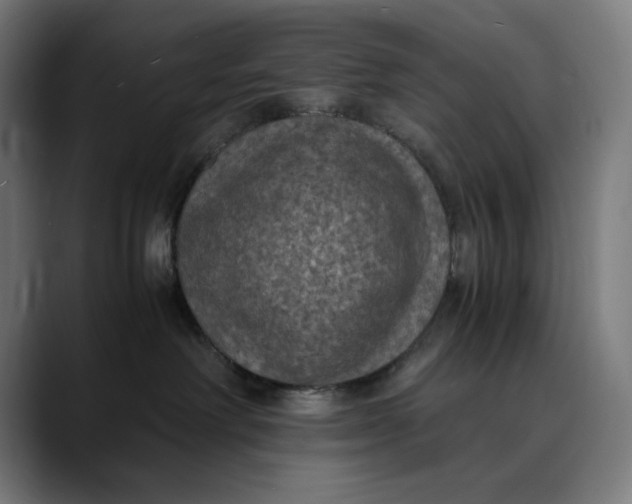 X0000089690238200707121342