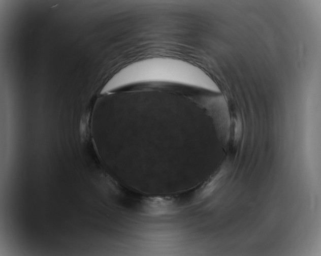 X0000089690239200707121342