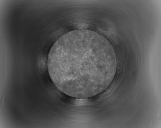 X0000089690240200707121341