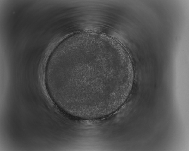 X0000089690241200707121341