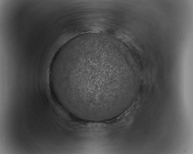 X0000089690242200707121341