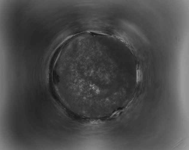 X0000089690243200707121341