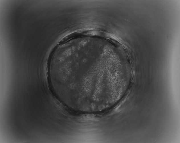 X0000089690244200707121341