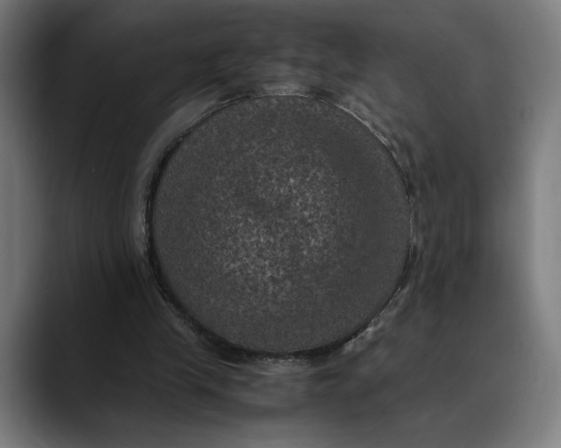 X0000089690245200707121341