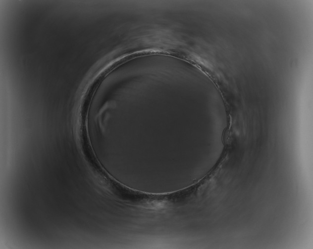 X0000089690247200707121341