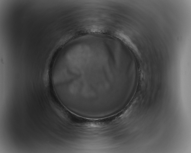 X0000089690250200707121341