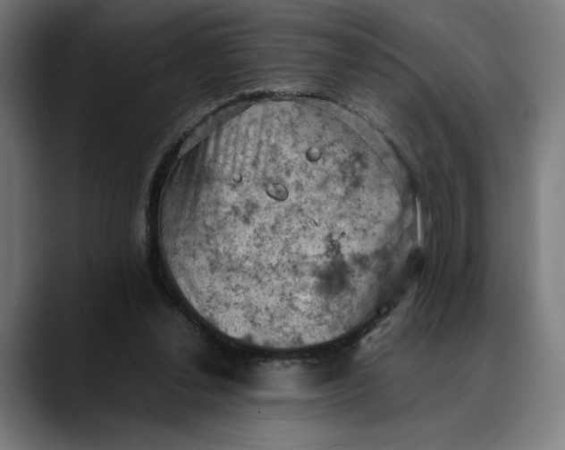 X0000089690252200707121341