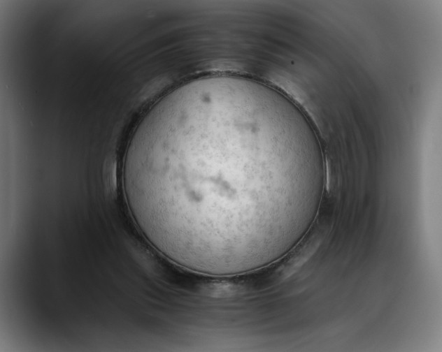 X0000089690253200707121341