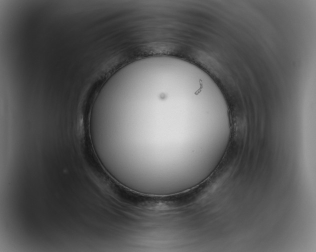 X0000089690254200707121341