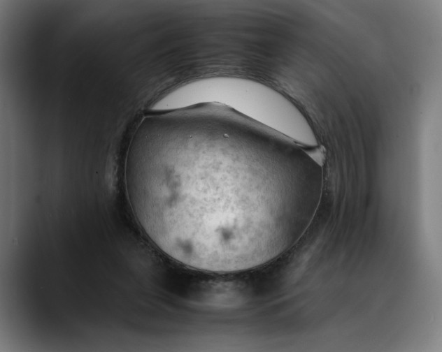 X0000089690255200707121341