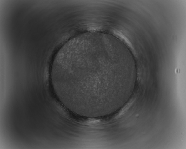 X0000089690257200707121341