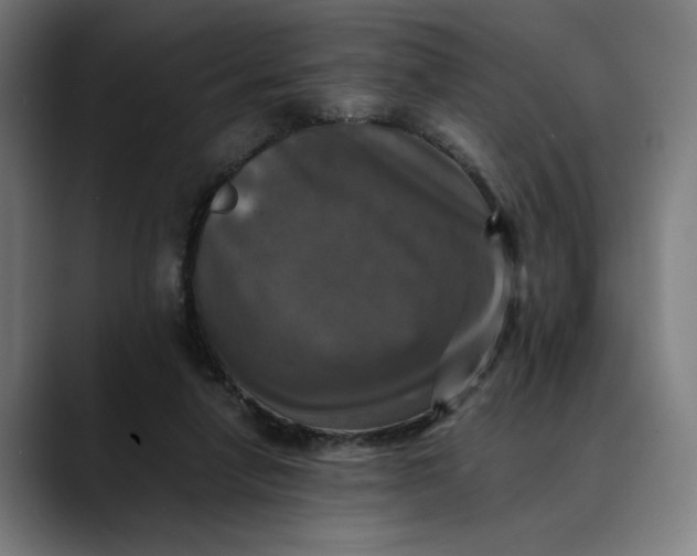 X0000089690258200707121341