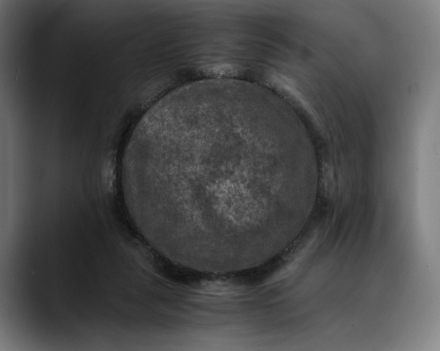 X0000089690259200707121341