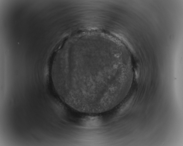 X0000089690260200707121341