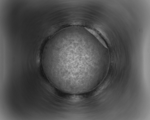 X0000089690261200707121341