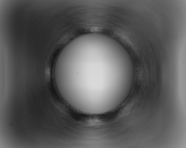 X0000089690262200707121341