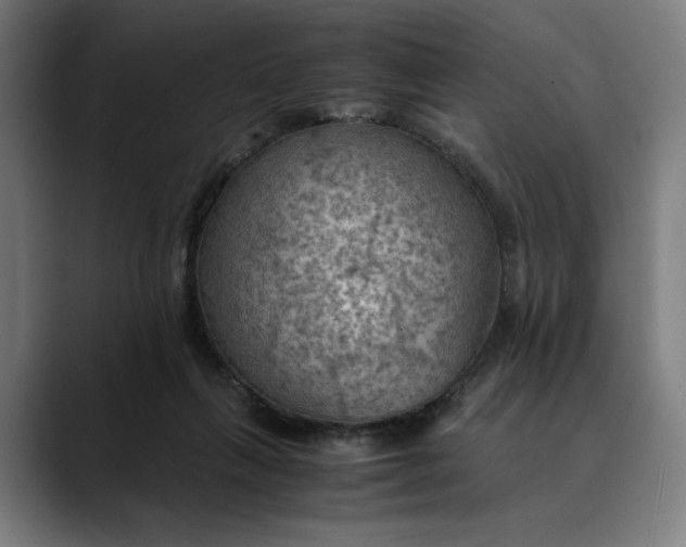 X0000089690263200707121341