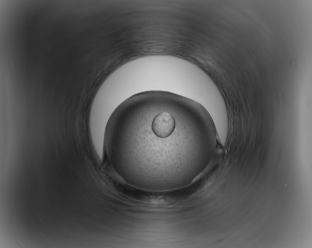 X0000089690264200707121341