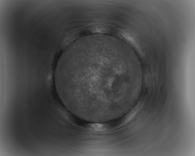 X0000089690265200707121341