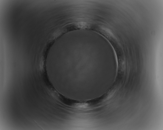 X0000089690266200707121341