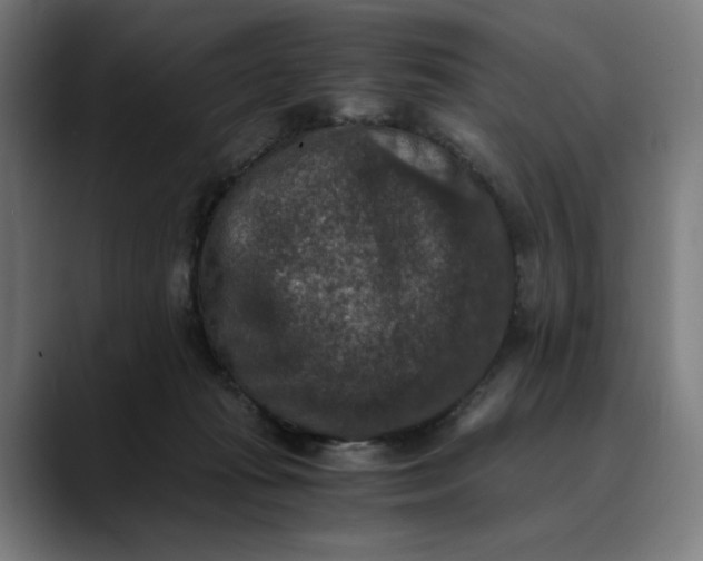 X0000089690269200707121341