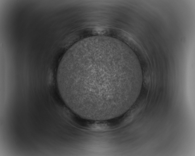 X0000089690270200707121341