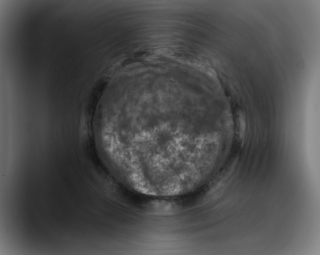 X0000089690272200707121341