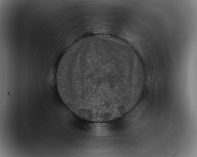 X0000089690273200707121341