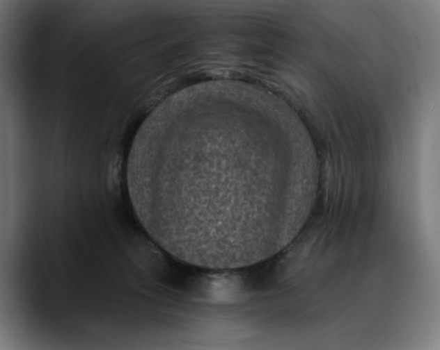 X0000089690275200707121341