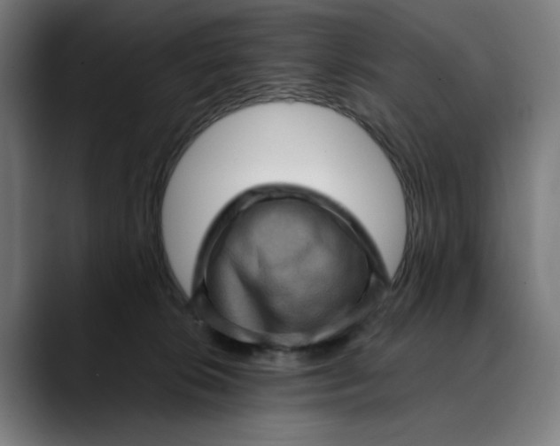 X0000089690276200707121341