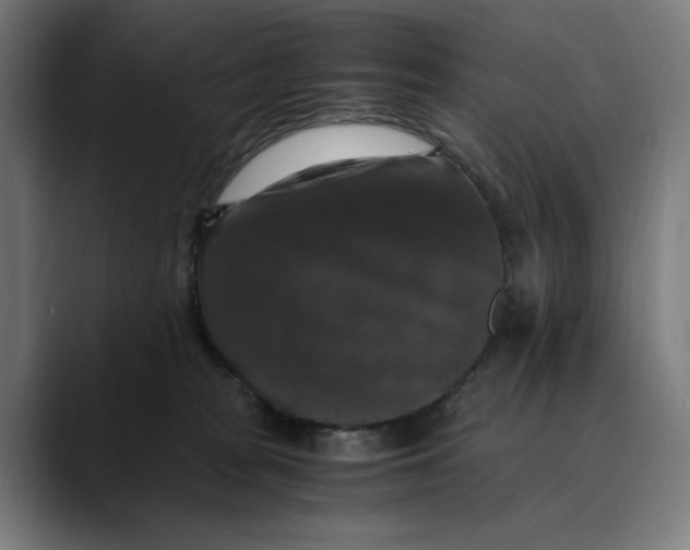 X0000089690277200707121341