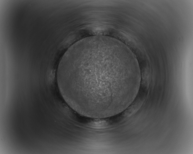 X0000089690278200707121341